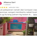 testimoni